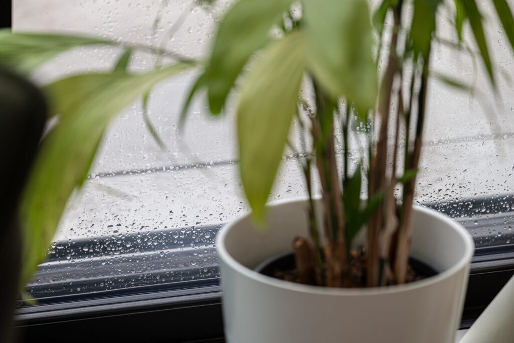 Open verbinding tussen tuin en interieur dankzij grote schuifpuien