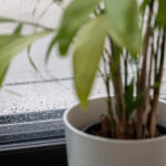 Open verbinding tussen tuin en interieur dankzij grote schuifpuien